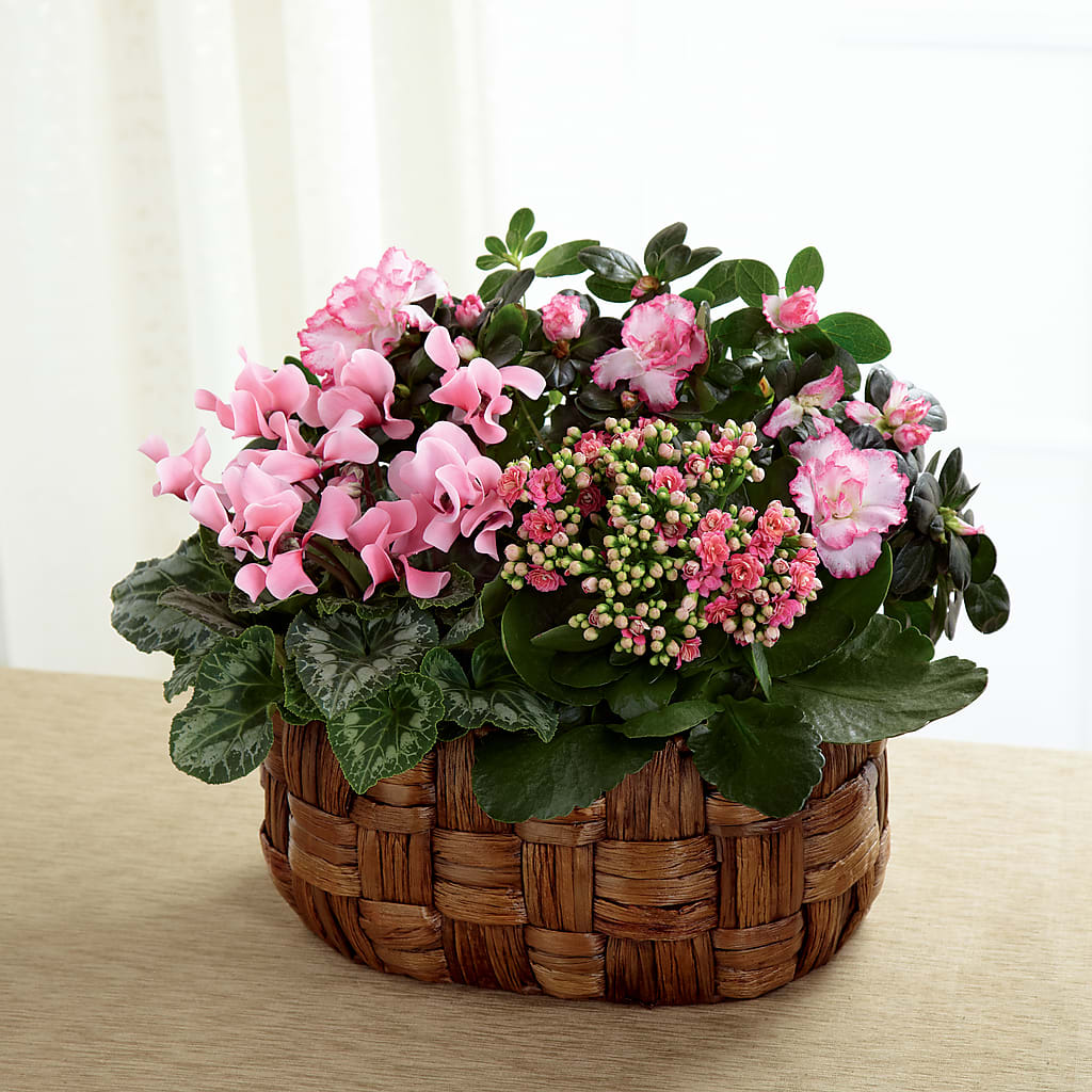 Pink Assortment – MONA'S BOUQUETS, Bacliff TX