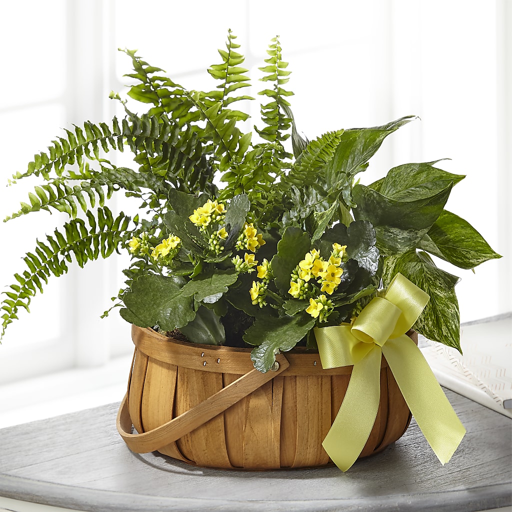 Always Dear Dishgarden – MONA'S BOUQUETS, Bacliff TX