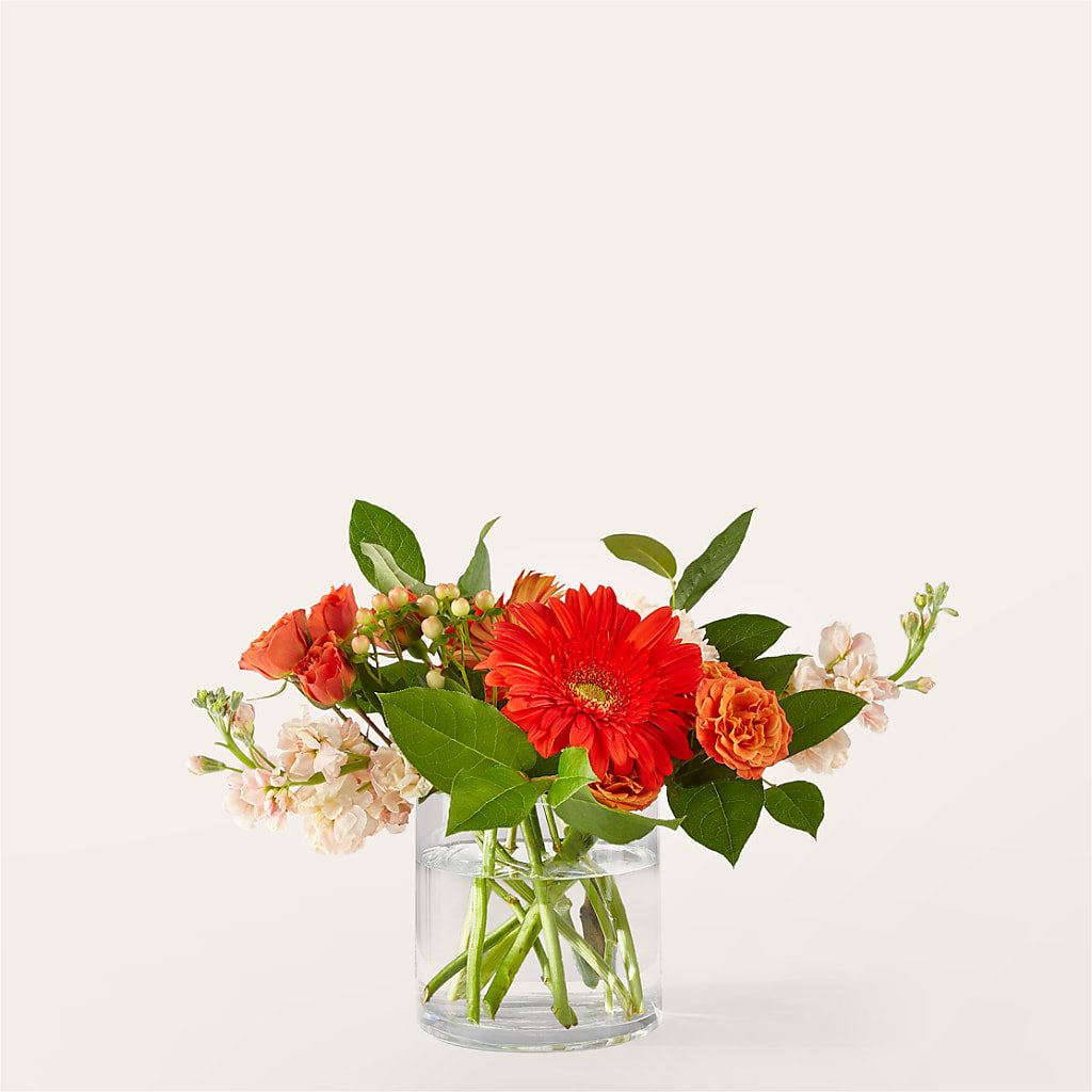 Paloma Please Bouquet – MONA'S BOUQUETS, Bacliff TX