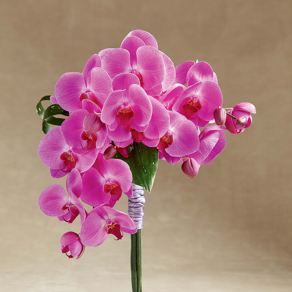 Glorious Bouquet – MONA'S BOUQUETS, Bacliff TX