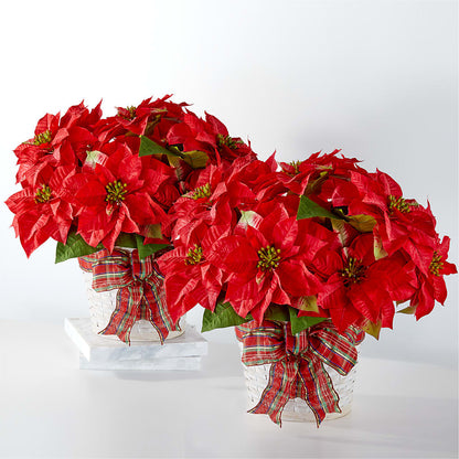 Happiest Holidays Poinsettia Bundle – MONA'S BOUQUETS, Bacliff TX