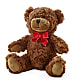 Adorable Plush Bear – MONA'S BOUQUETS, Bacliff TX