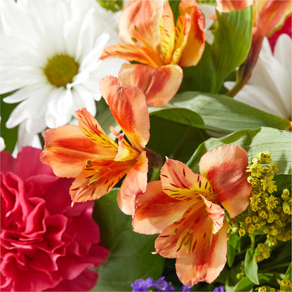 Oopsie Daisy Box Bouquet – MONA'S BOUQUETS, Bacliff TX