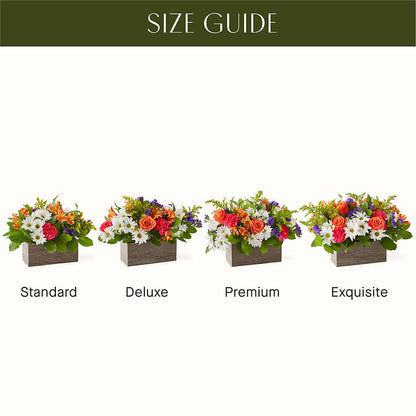 Oopsie Daisy Box Bouquet – MONA'S BOUQUETS, Bacliff TX