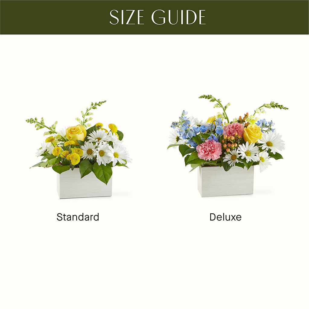 Sun Salutation Box Bouquet – MONA'S BOUQUETS, Bacliff TX