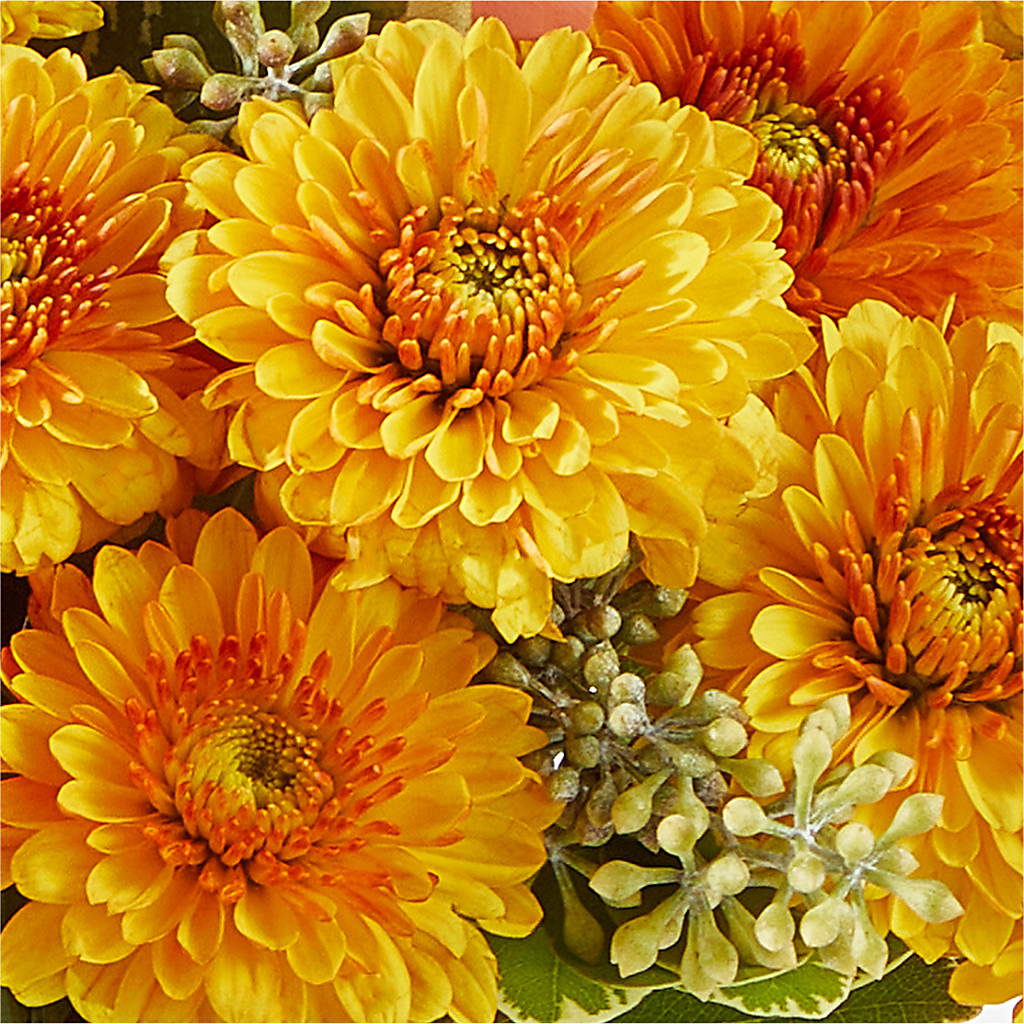 Peachy Pumpkin – MONA'S BOUQUETS, Bacliff TX
