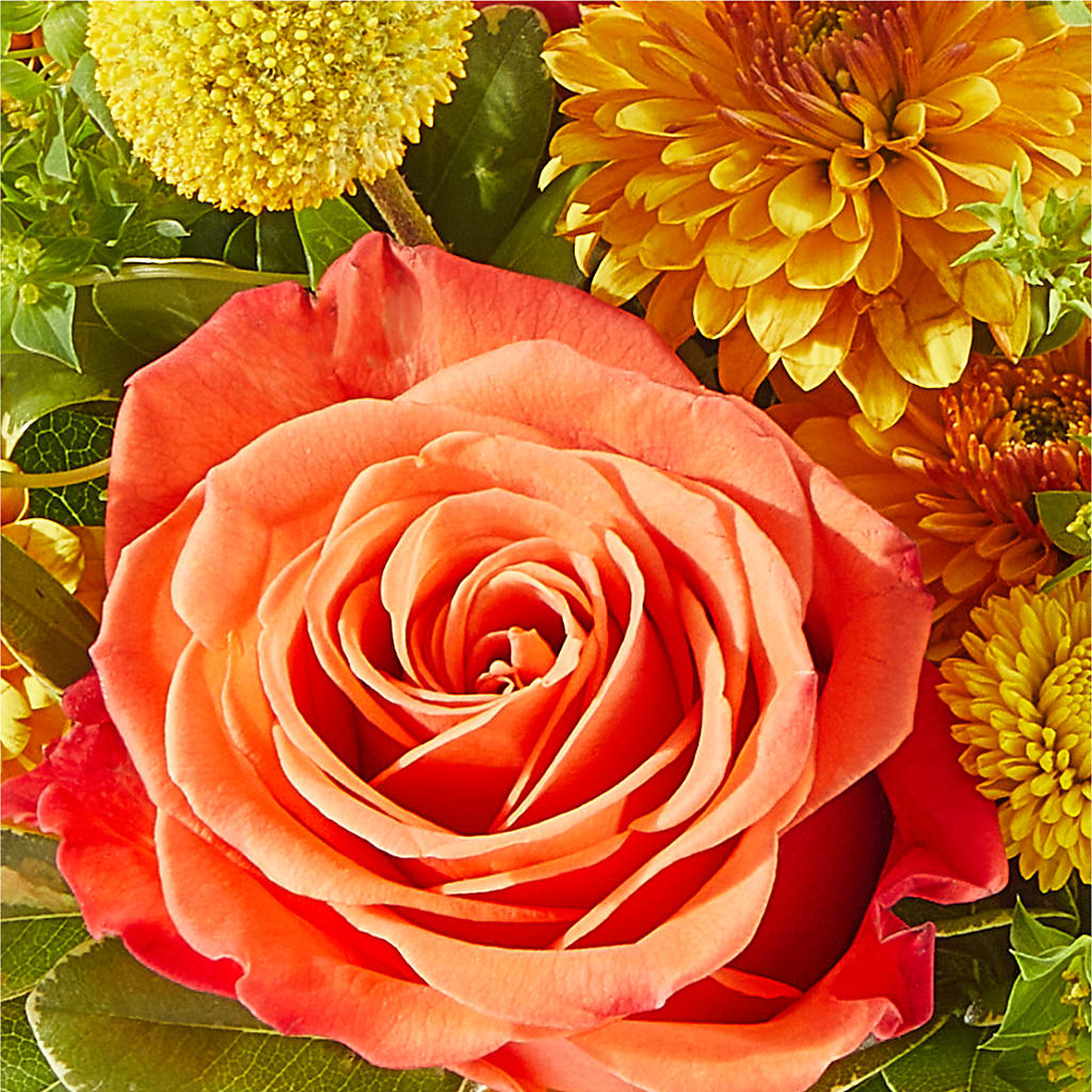 Gourdgeous Pumpkin – MONA'S BOUQUETS, Bacliff TX