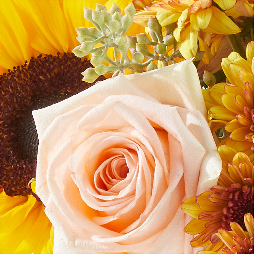 Pumpkin to Talk About Bouquet – MONA'S BOUQUETS, Bacliff TX