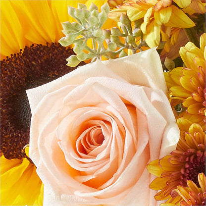Pumpkin to Talk About Bouquet – MONA'S BOUQUETS, Bacliff TX