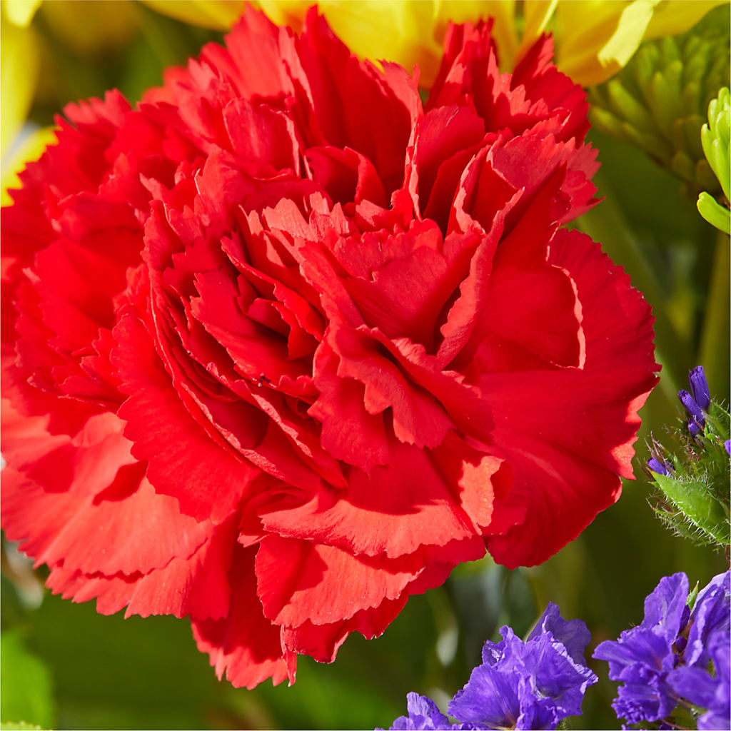 Brighter Days Bouquet – MONA'S BOUQUETS, Bacliff TX