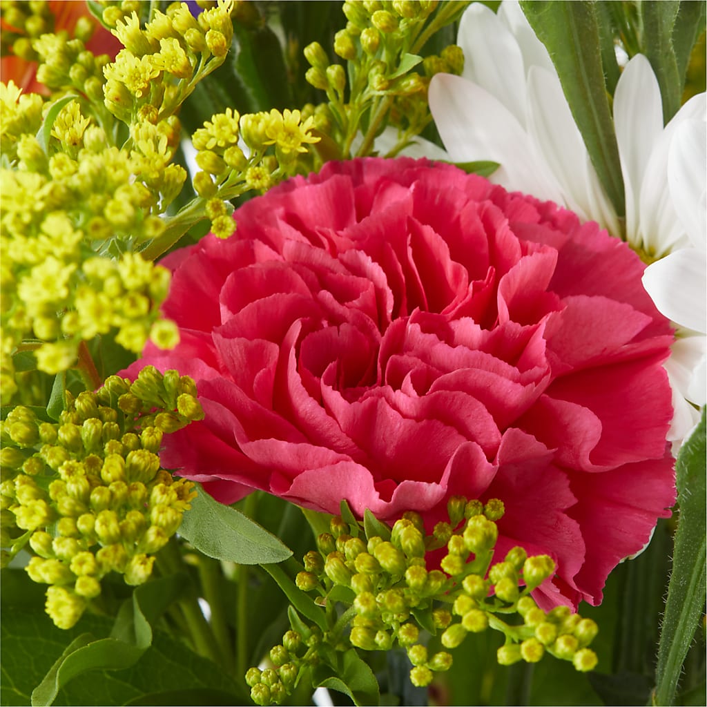 Oopsie Daisy Bouquet – MONA'S BOUQUETS, Bacliff TX
