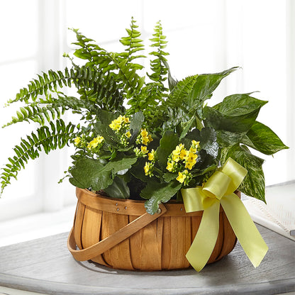 Always Dear Dishgarden – MONA'S BOUQUETS, Bacliff TX