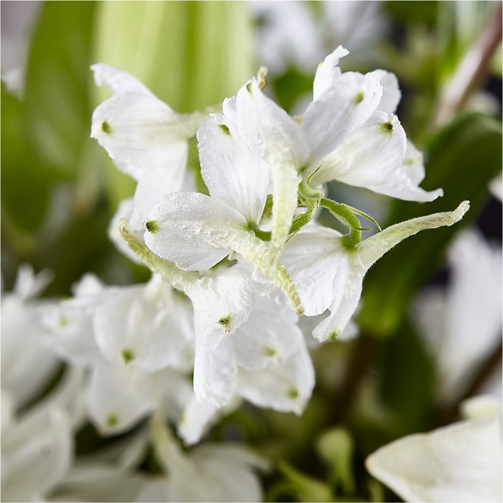 Classic Ivory – A Florist Original – MONA'S BOUQUETS, Bacliff TX