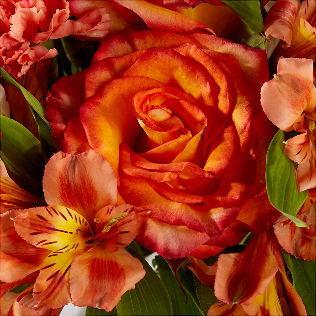 Apricot Glow Bouquet – MONA'S BOUQUETS, Bacliff TX