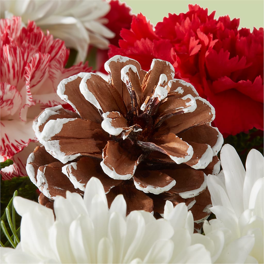 Candy Cane Lane Bouquet – MONA'S BOUQUETS, Bacliff TX