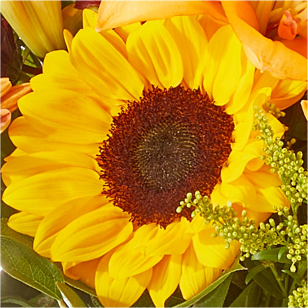 Seasons Change Bouquet – MONA'S BOUQUETS, Bacliff TX