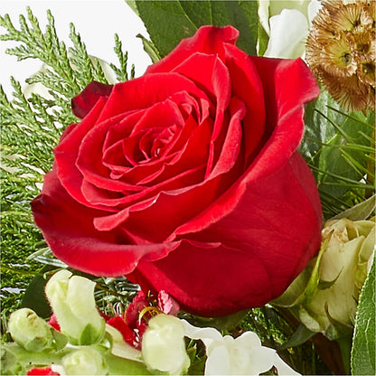Deck the Halls Bouquet – MONA'S BOUQUETS, Bacliff TX