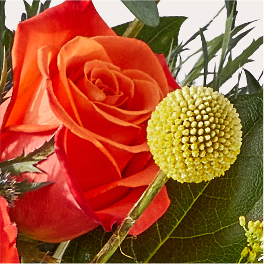 Disco Bouquet – MONA'S BOUQUETS, Bacliff TX