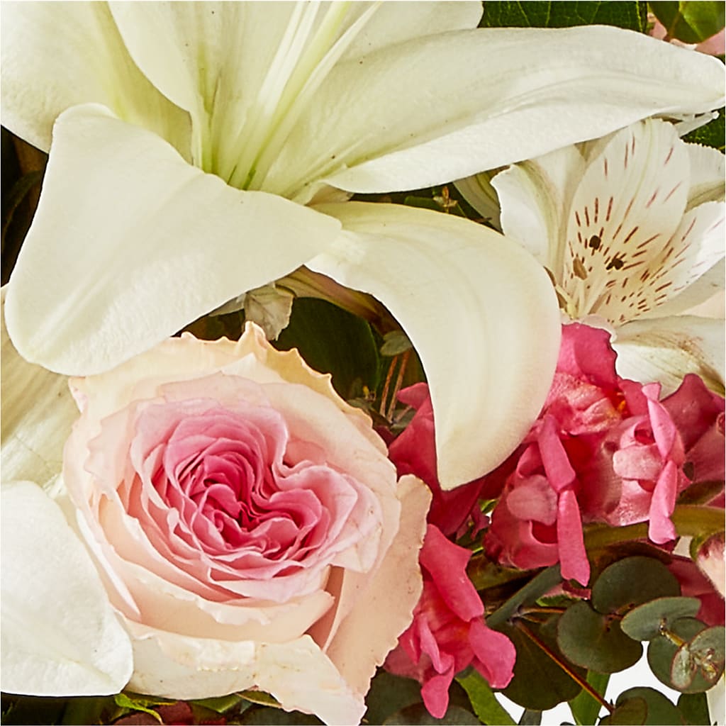 Ballet Slippers Bouquet – MONA'S BOUQUETS, Bacliff TX