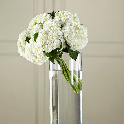White Hydrangea Hand-Tied Bouquet – MONA'S BOUQUETS, Bacliff TX